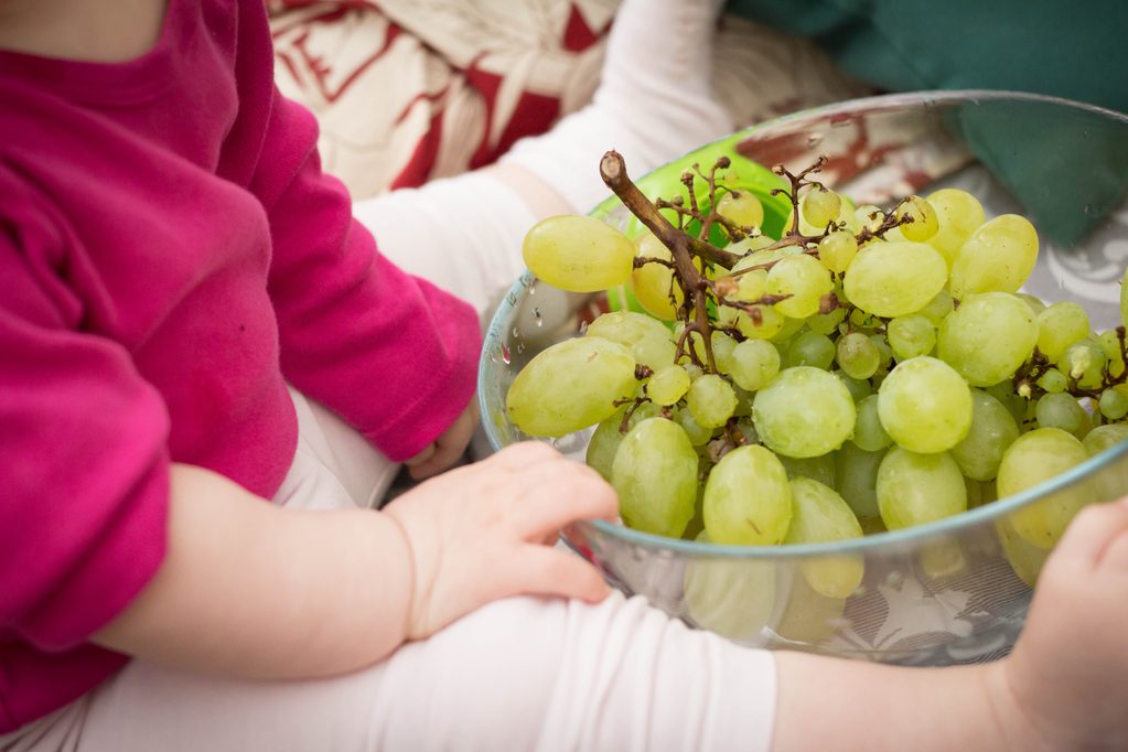 iha31-grapes-531207